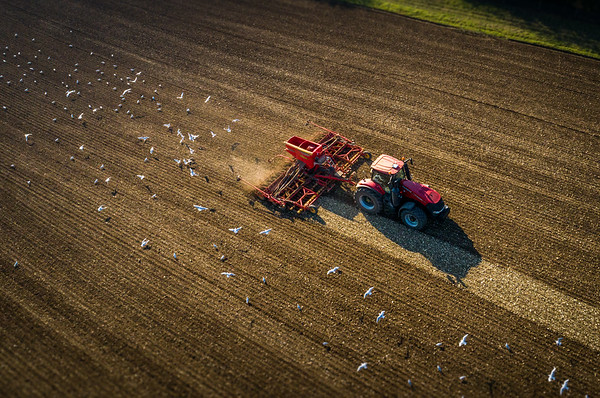 Aerial View of Farmer - (Drone Photography)